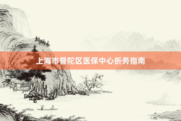 上海市普陀区医保中心折务指南